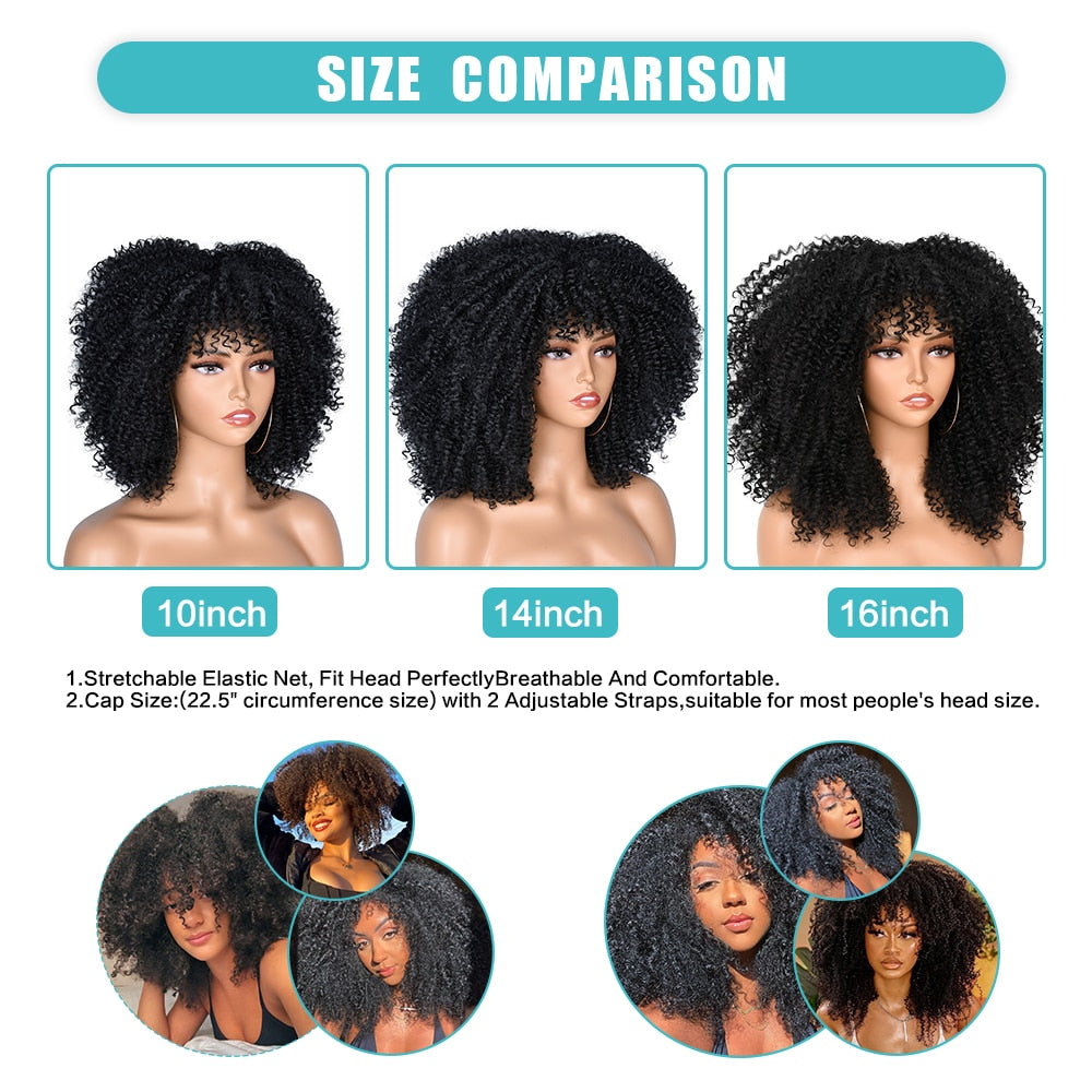 Afro Kinky Curly Wig with Bangs