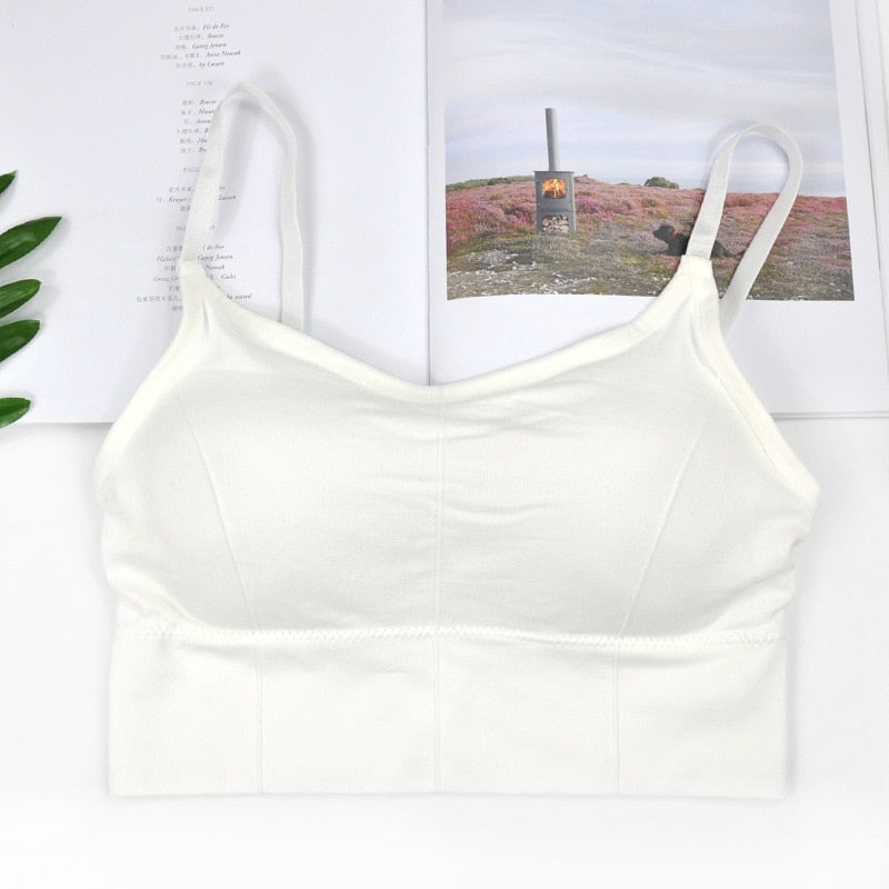 Crop Tops Push Up Bra Sports