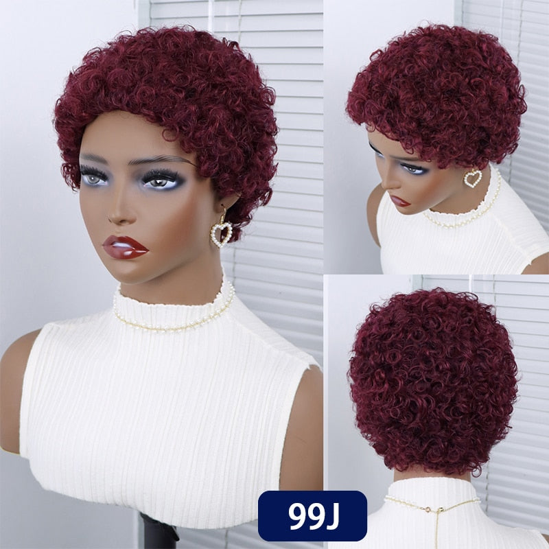 Short Curly Hair Brazilian Human Hair Wigs