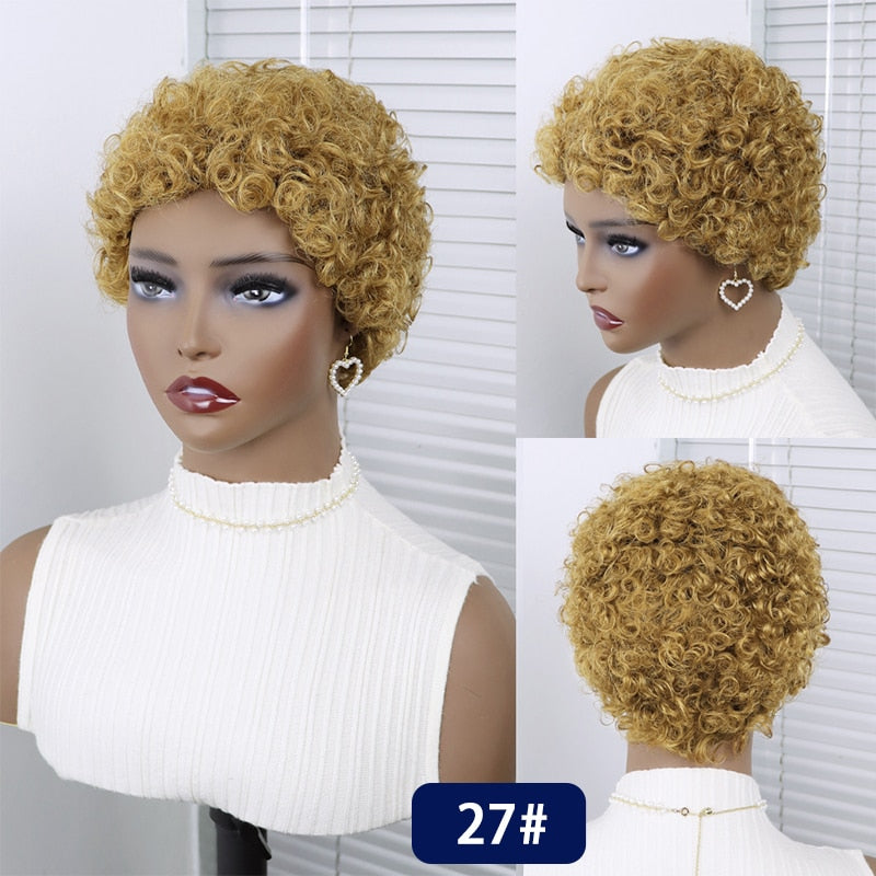 Short Curly Hair Brazilian Human Hair Wigs