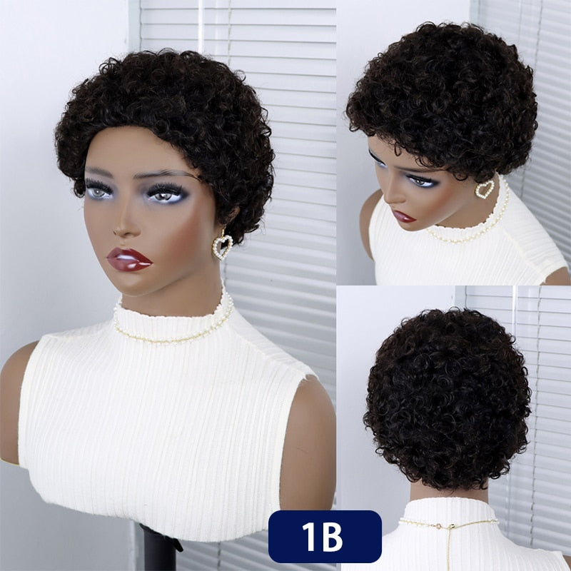 Short Curly Hair Brazilian Human Hair Wigs