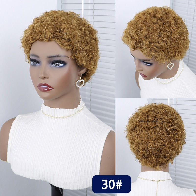 Short Curly Hair Brazilian Human Hair Wigs