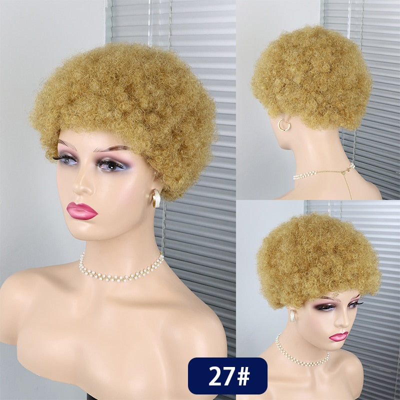 Short Curly Hair Brazilian Human Hair Wigs