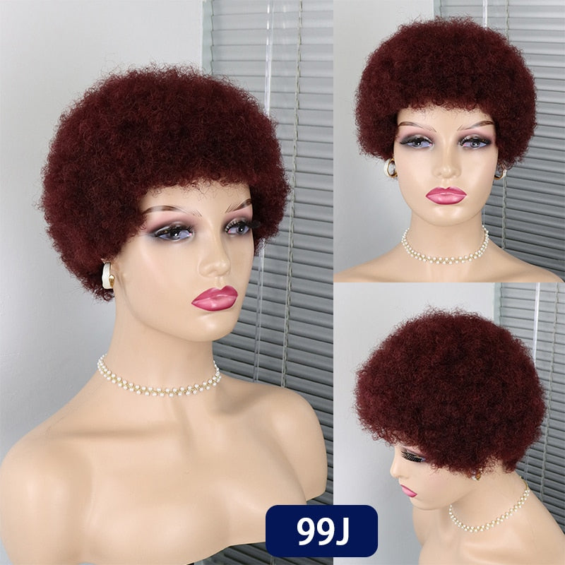 Short Curly Hair Brazilian Human Hair Wigs