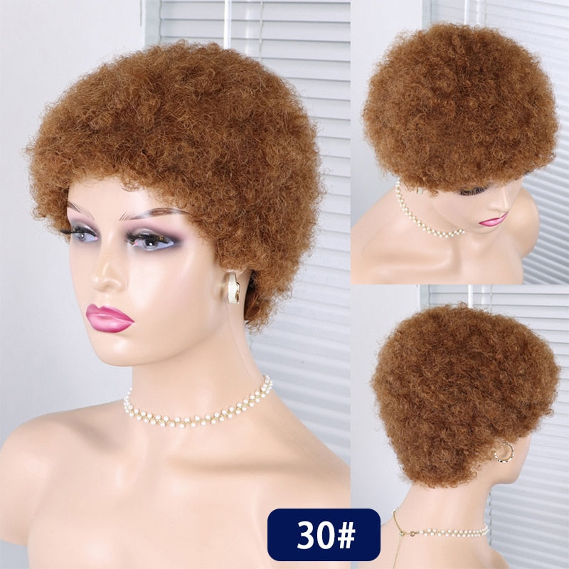 Short Curly Hair Brazilian Human Hair Wigs