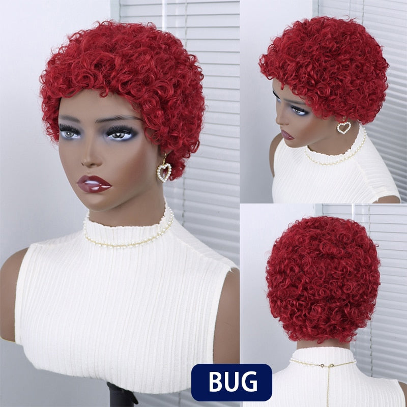 Short Curly Hair Brazilian Human Hair Wigs