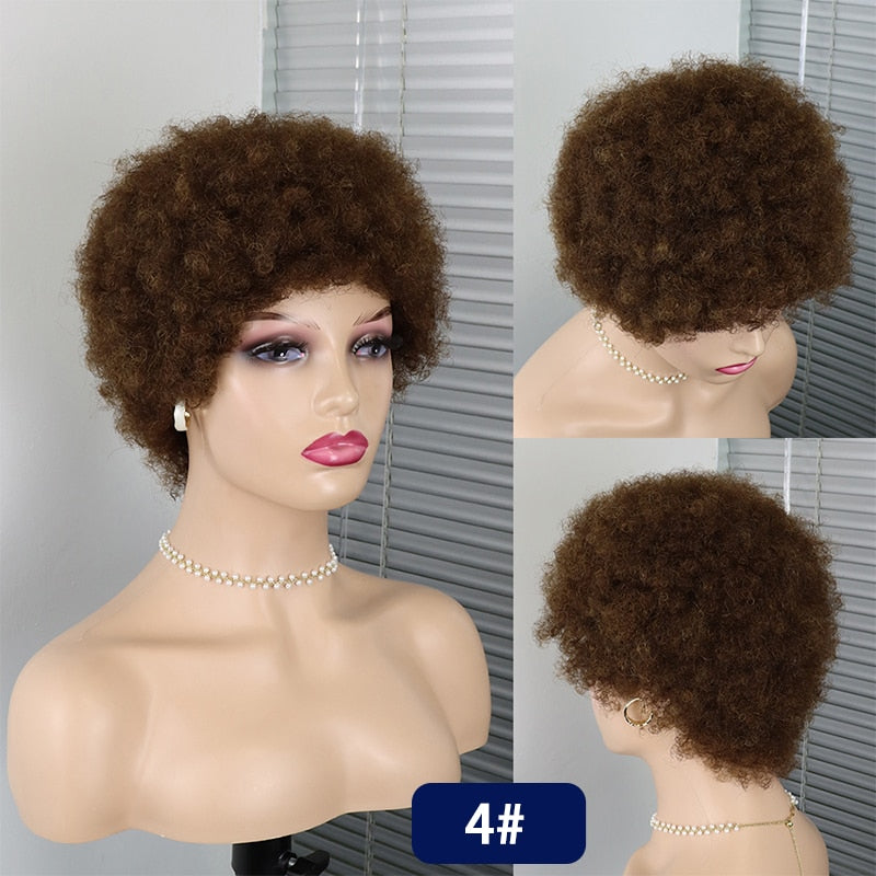 Short Curly Hair Brazilian Human Hair Wigs