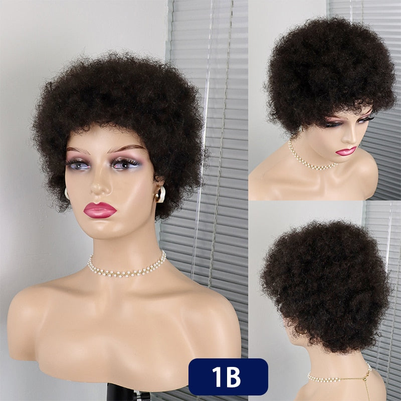 Short Curly Hair Brazilian Human Hair Wigs